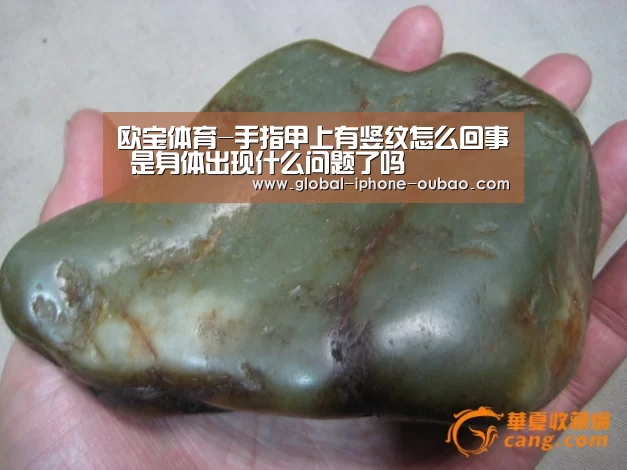 欧宝体育