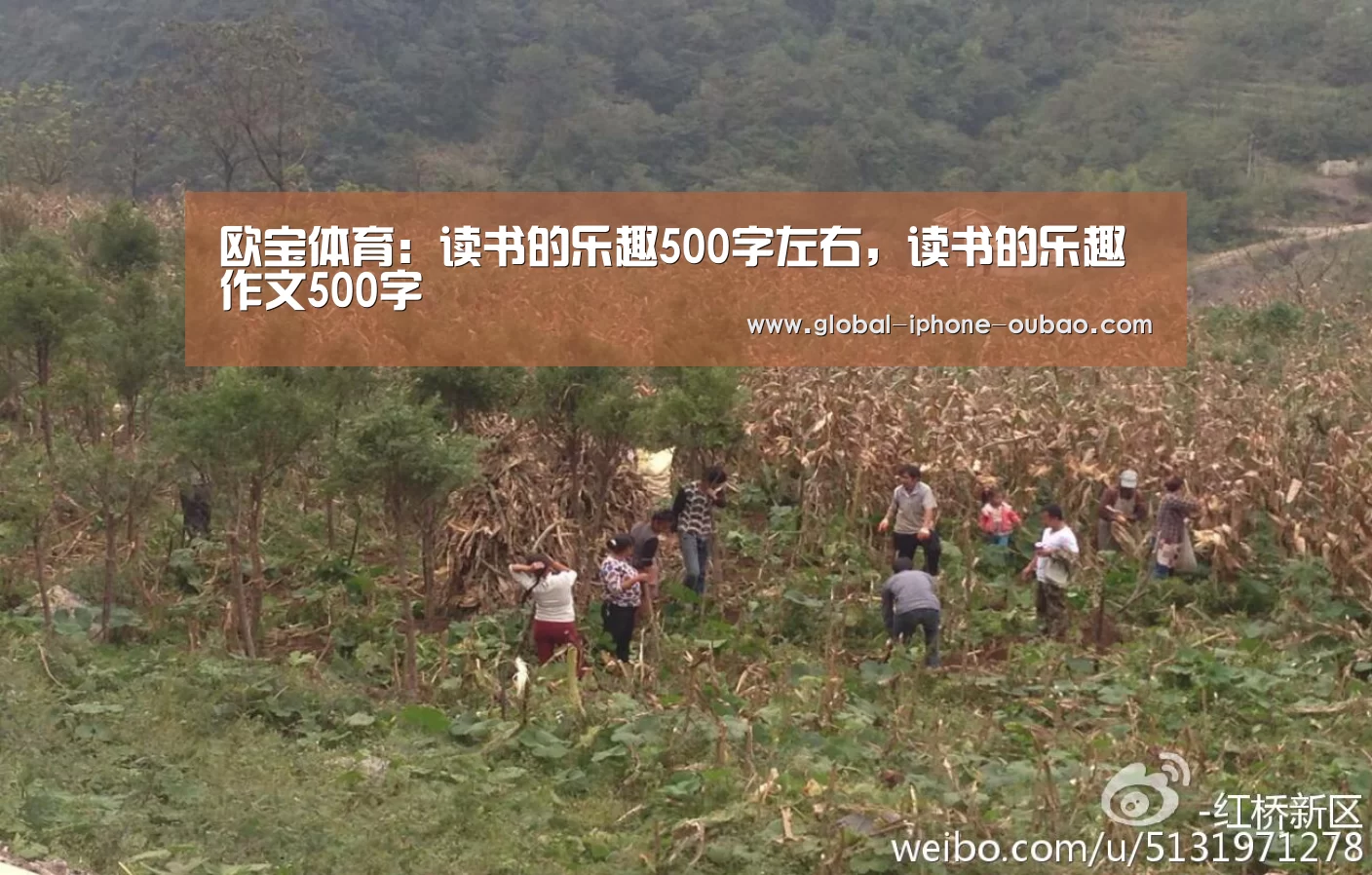 欧宝体育:读书的乐趣500字左右,读书的乐趣作文500字(图2) 欧宝体育
