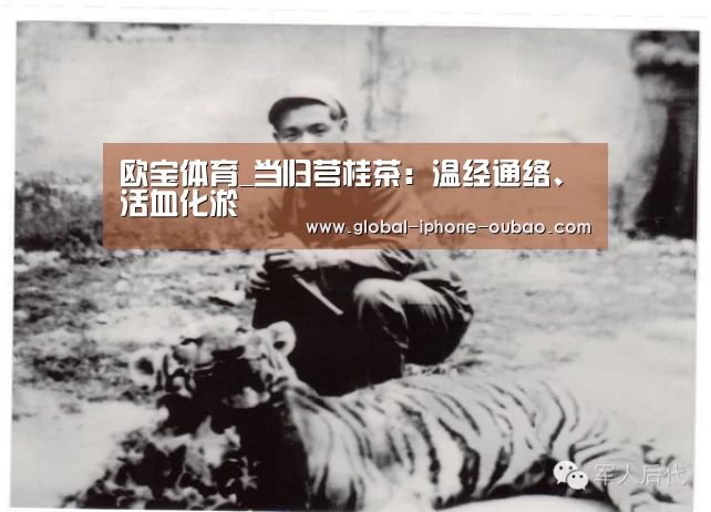 欧宝体育_当归芎桂茶:温经通络、活血化淤(图3) 欧宝体育