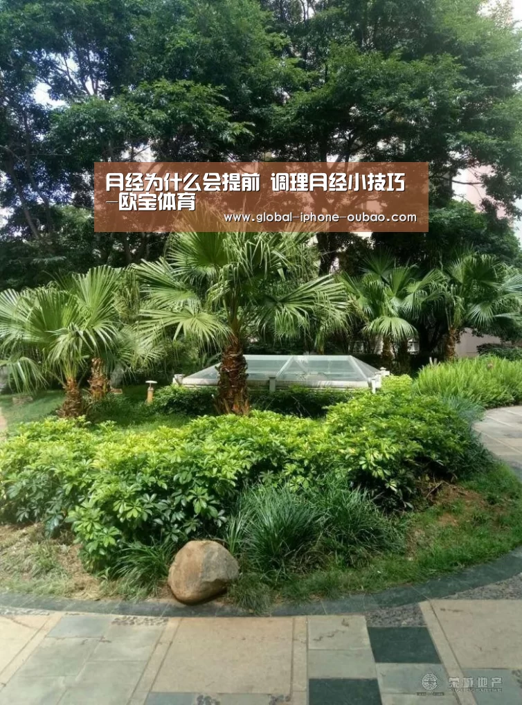 欧宝体育