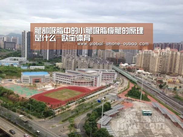 腿部吸脂中的小腿吸脂瘦腿的原理是什么-欧宝体育(图3) 欧宝体育