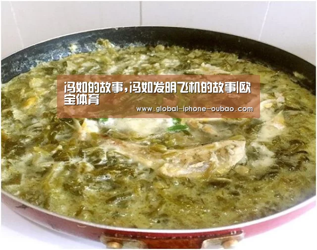 冯如的故事,冯如发明飞机的故事|欧宝体育(图1) 欧宝体育