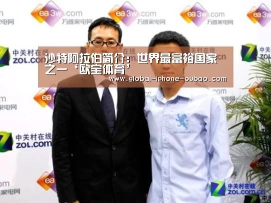 沙特阿拉伯简介:世界最富裕国家之一‘欧宝体育’(图4) 欧宝体育