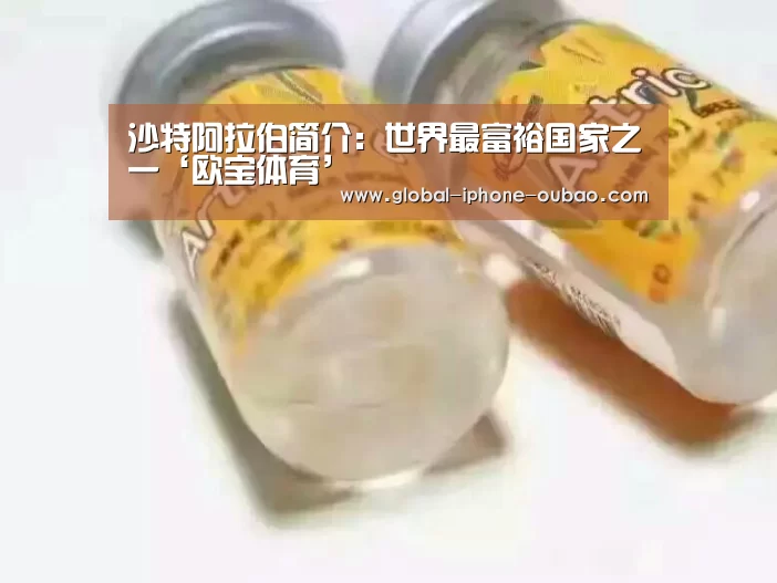 沙特阿拉伯简介:世界最富裕国家之一‘欧宝体育’(图3) 欧宝体育